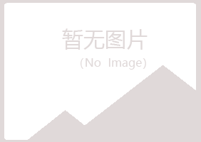 咸阳渭城白山化学有限公司